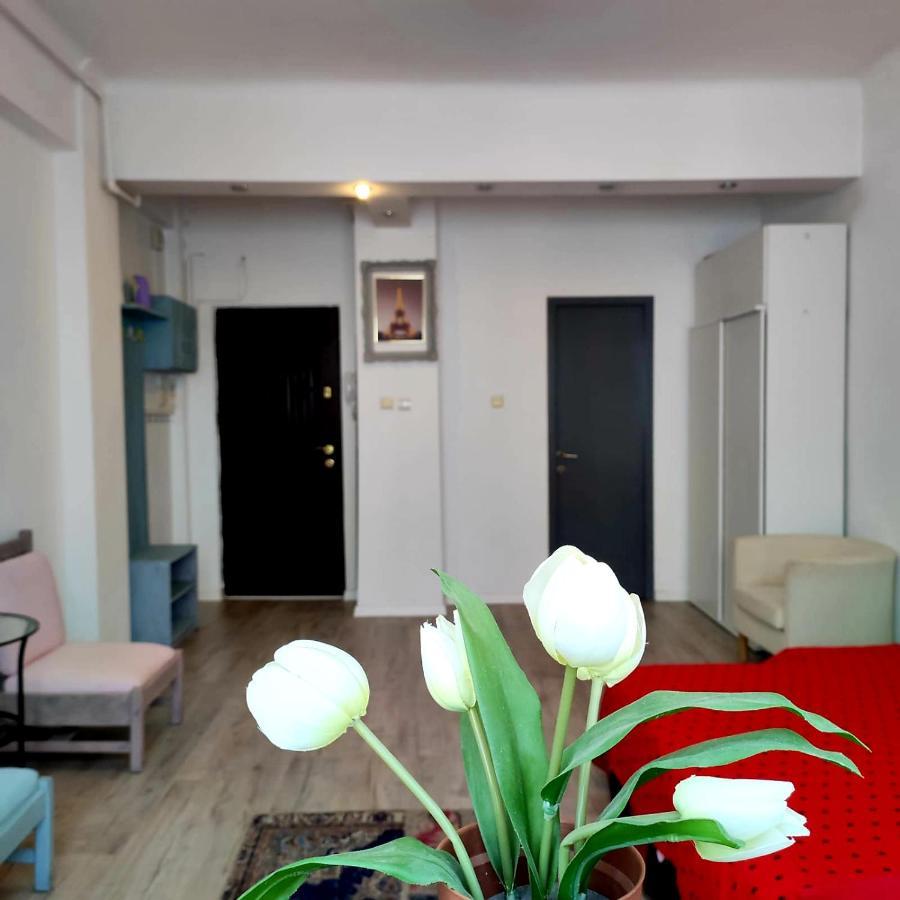 Garsoniera Centrul Bucurestiului Apartment Exterior photo